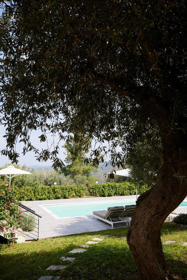 Sithonian Villa Néos Marmarás Exterior foto
